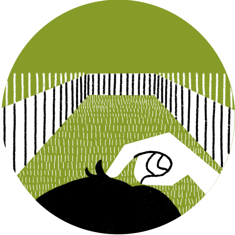 Landscape design for home owners