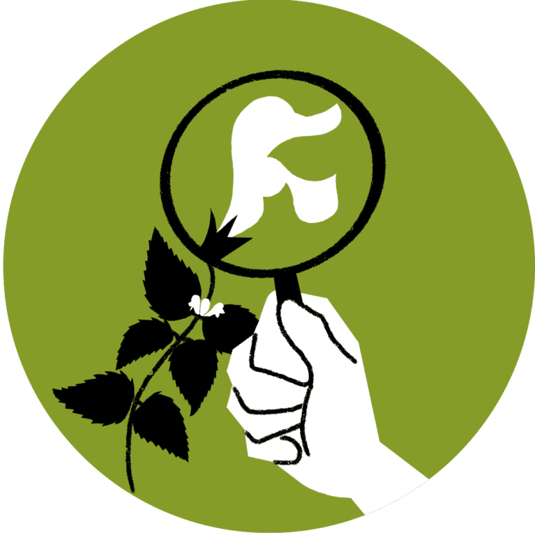 Landscape design for schools